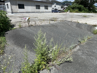 画像6:仮）早良区脇山２丁目貸土地,借地,福岡市早良区脇山2丁目11番